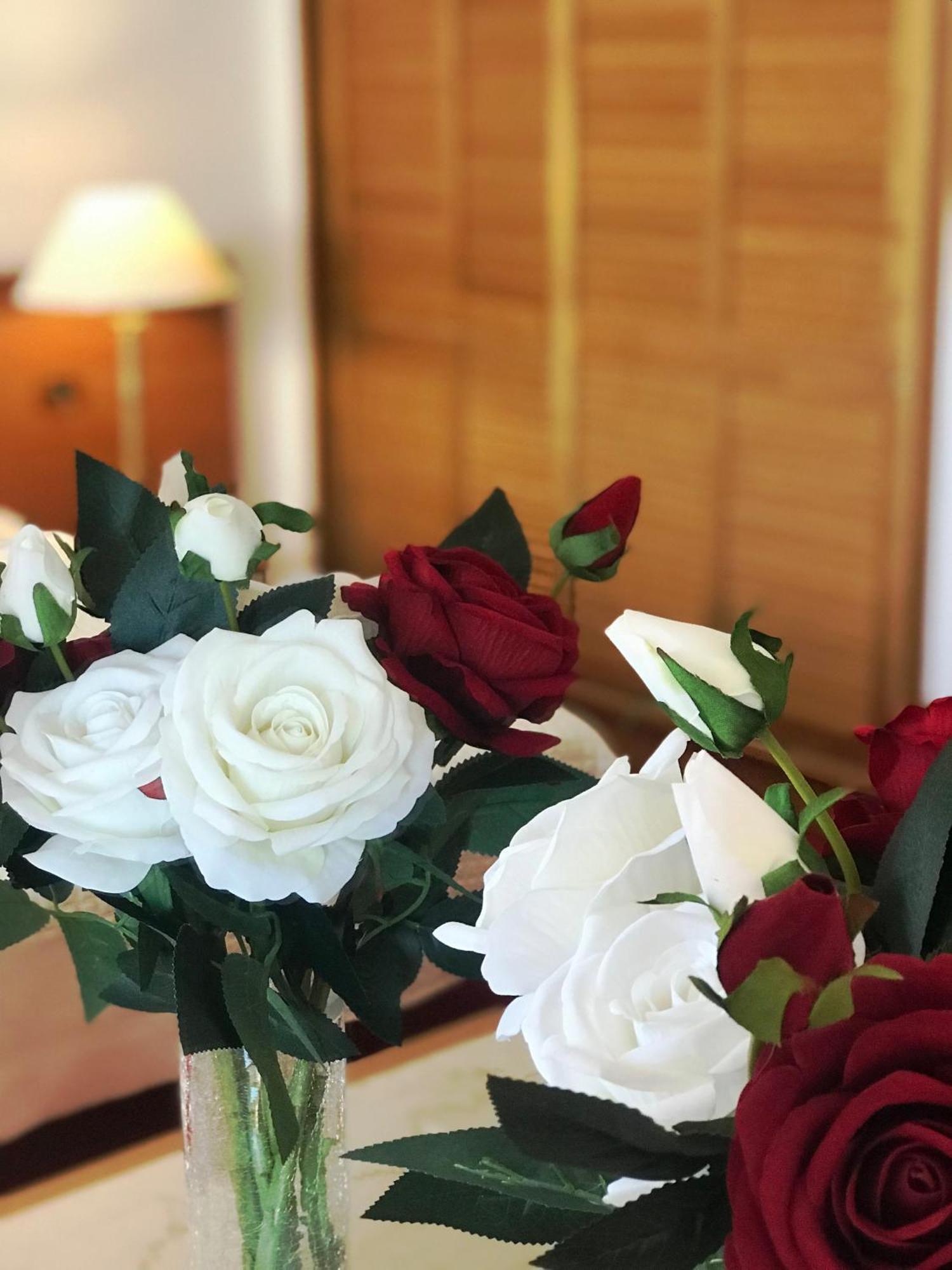 Chateau Linza Resort Τίρανα Εξωτερικό φωτογραφία