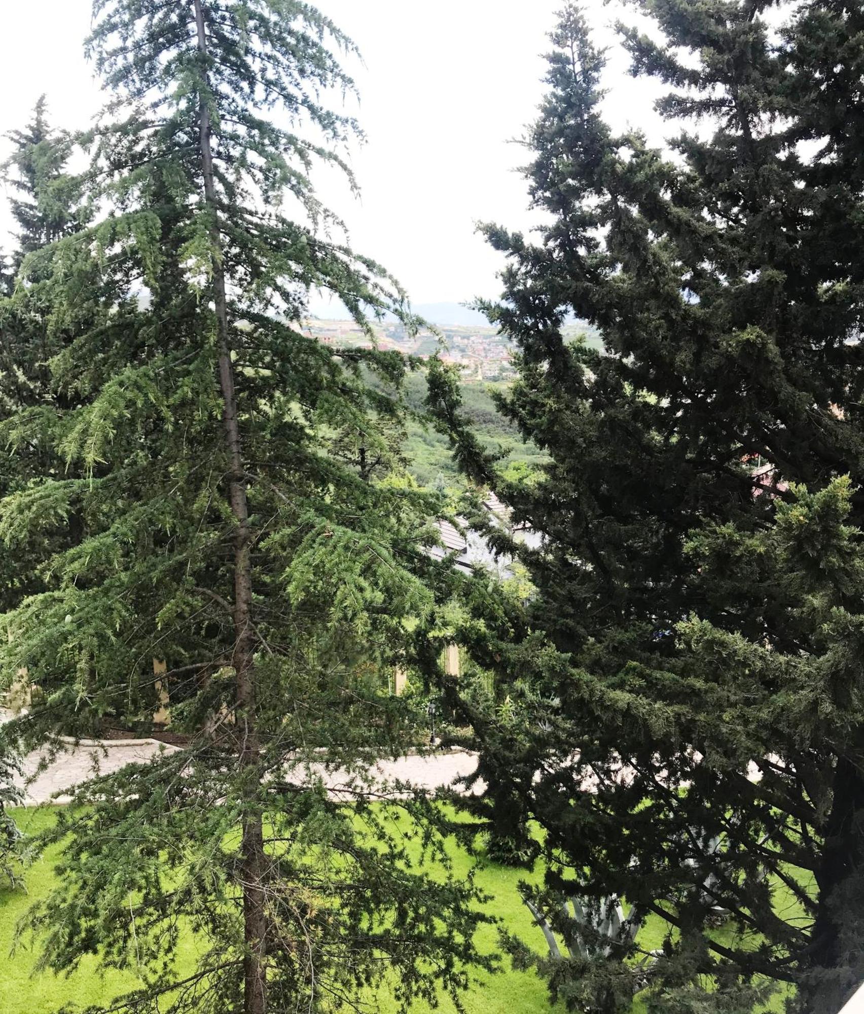 Chateau Linza Resort Τίρανα Εξωτερικό φωτογραφία
